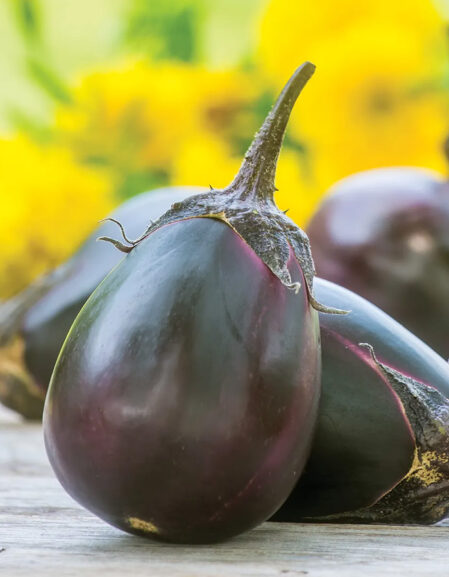 Aubergine Meatball F1