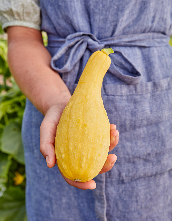 Harvested Squash Pic and Pic being held in hands