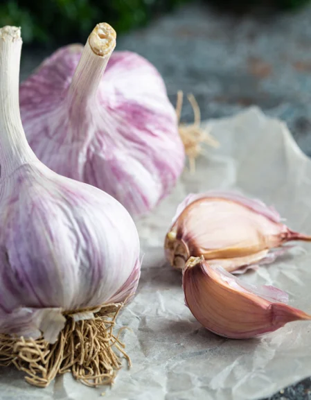 Garlic Caulk Wight Seed