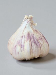 Garlic Rhapsody Wight Seed (Softneck)