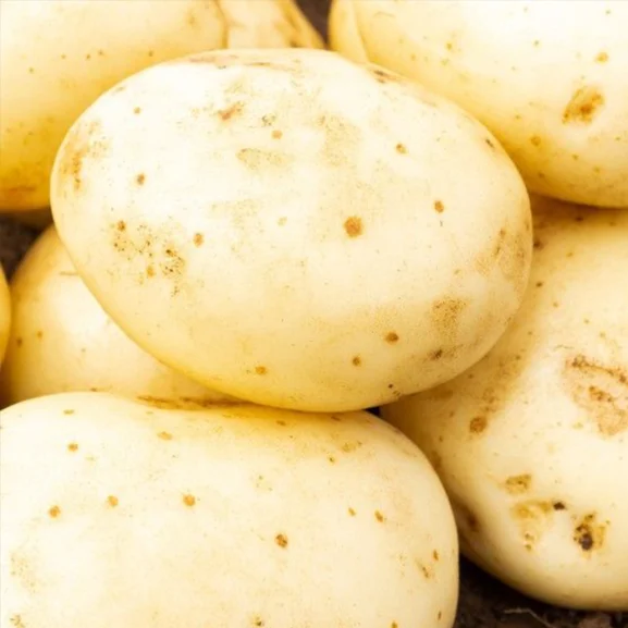 Acoustic Seed Potatoes