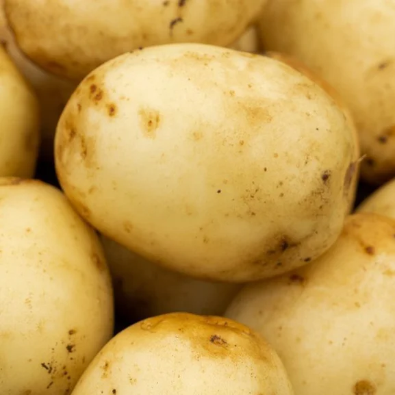 Nadine Seed Potatoes