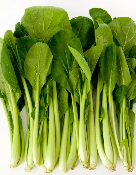 Komatsuna Green Boy Seeds