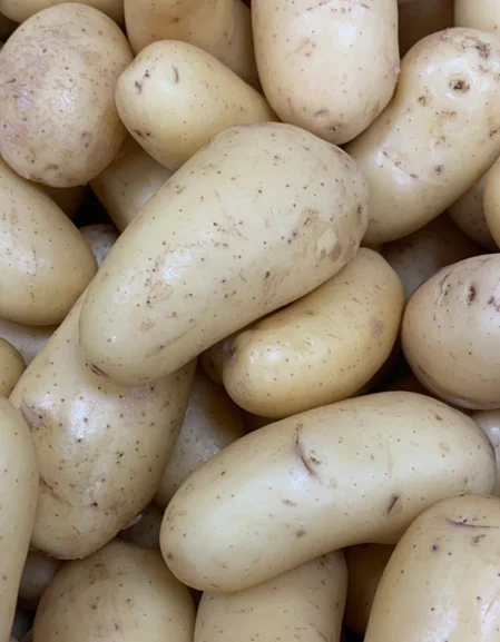 Jazzy Seed Potatoes (Second Early)